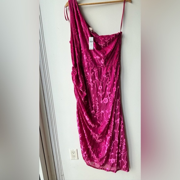 Hutch One-Shoulder Ruched Velvet Dress - Picture 2 of 3